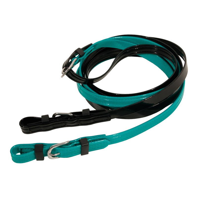 37208_renes_enrenement_avec_coloris_turquoise.jpg